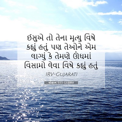 Picture 07 - યોહાન 11:13 GUJIRV - ઈસુએ તો તેના - Bible Verse Picture