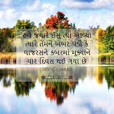 Picture 07 - યોહાન 11:17 GUJIRV - હવે જયારે ઈસુ - Bible Verse Picture