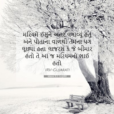 Picture 07 - યોહાન 11:2 GUJIRV - મરિયમે ઈસુને - Bible Verse Picture