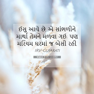 Picture 07 - યોહાન 11:20 GUJIRV - ઈસુ આવે છે, એ - Bible Verse Picture