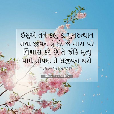 Picture 07 - યોહાન 11:25 GUJIRV - ઈસુએ તેને કહ્યું - Bible Verse Picture