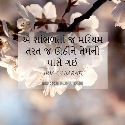 Picture 07 - યોહાન 11:29 GUJIRV - એ સાંભળતાં જ મરિયમ - Bible Verse Picture