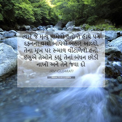 Picture 07 - યોહાન 11:44 GUJIRV - ત્યારે જે મૃત્યુ - Bible Verse Picture