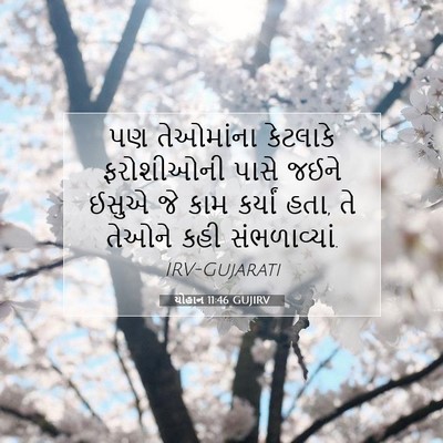 Picture 07 - યોહાન 11:46 GUJIRV - પણ તેઓમાંના - Bible Verse Picture