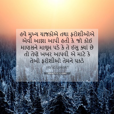 Picture 07 - યોહાન 11:57 GUJIRV - હવે મુખ્ય યાજકોએ - Bible Verse Picture