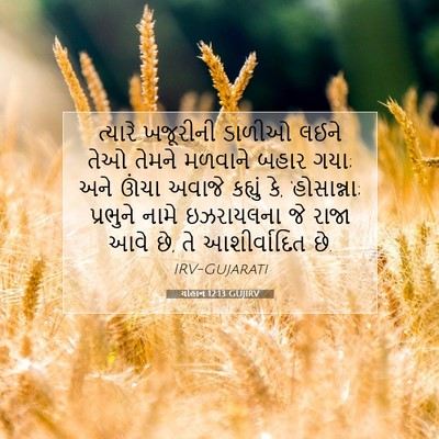 Picture 07 - યોહાન 12:13 GUJIRV - ત્યારે ખજૂરીની - Bible Verse Picture