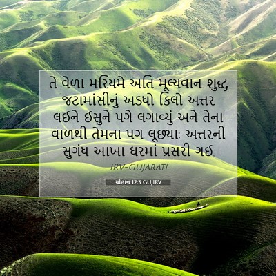 Picture 07 - યોહાન 12:3 GUJIRV - તે વેળા મરિયમે અતિ - Bible Verse Picture