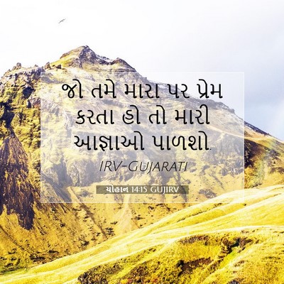 Picture 07 - યોહાન 14:15 GUJIRV - જો તમે મારા પર - Bible Verse Picture