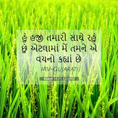 Picture 07 - યોહાન 14:25 GUJIRV - હું હજી તમારી સાથે - Bible Verse Picture