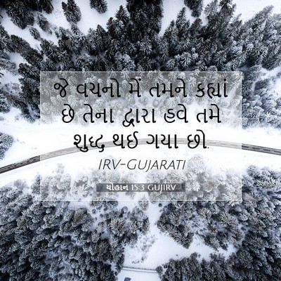 Picture 07 - યોહાન 15:3 GUJIRV - જે વચનો મેં તમને - Bible Verse Picture