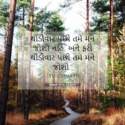 Picture 07 - યોહાન 16:16 GUJIRV - થોડીવાર પછી તમે - Bible Verse Picture