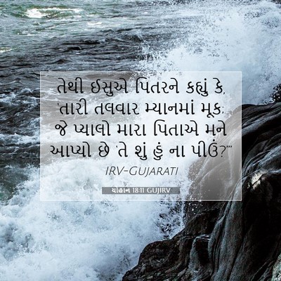Picture 07 - યોહાન 18:11 GUJIRV - તેથી ઈસુએ પિતરને - Bible Verse Picture