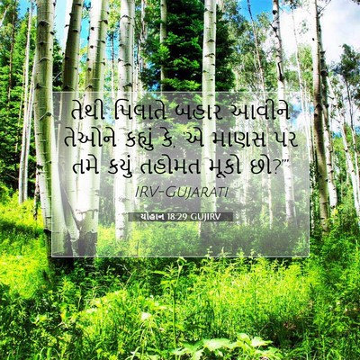 Picture 07 - યોહાન 18:29 GUJIRV - તેથી પિલાતે બહાર - Bible Verse Picture