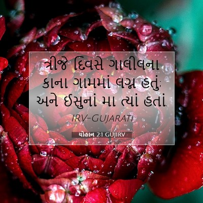 Picture 07 - યોહાન 2:1 GUJIRV - ત્રીજે દિવસે - Bible Verse Picture