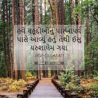 Picture 07 - યોહાન 2:13 GUJIRV - હવે યહૂદીઓનું - Bible Verse Picture