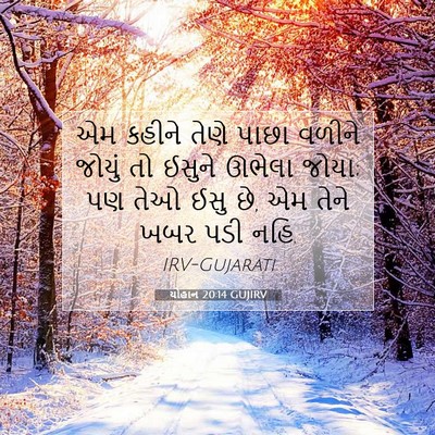 Picture 07 - યોહાન 20:14 GUJIRV - એમ કહીને તેણે પાછા - Bible Verse Picture