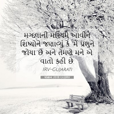 Picture 07 - યોહાન 20:18 GUJIRV - મગ્દલાની મરિયમે - Bible Verse Picture