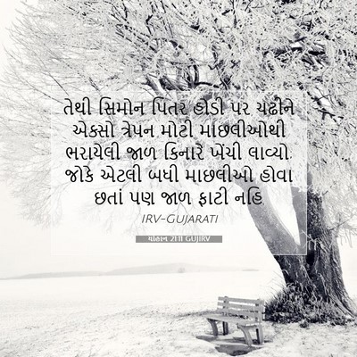 Picture 07 - યોહાન 21:11 GUJIRV - તેથી સિમોન પિતર - Bible Verse Picture