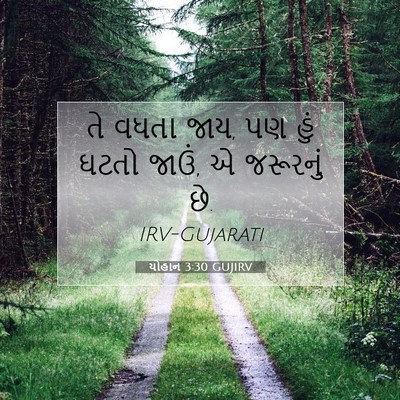 Picture 07 - યોહાન 3:30 GUJIRV - તે વધતા જાય, પણ હું - Bible Verse Picture