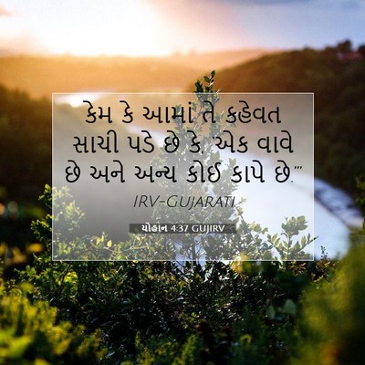 Picture 07 - યોહાન 4:37 GUJIRV - કેમ કે આમાં તે - Bible Verse Picture