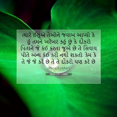 Picture 07 - યોહાન 5:19 GUJIRV - ત્યારે ઈસુએ તેઓને - Bible Verse Picture