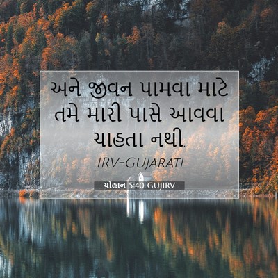 Picture 07 - યોહાન 5:40 GUJIRV - અને જીવન પામવા - Bible Verse Picture
