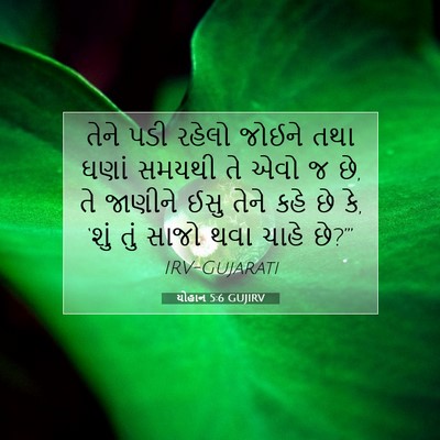 Picture 07 - યોહાન 5:6 GUJIRV - તેને પડી રહેલો - Bible Verse Picture