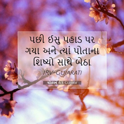 Picture 07 - યોહાન 6:3 GUJIRV - પછી ઈસુ પહાડ પર ગયા - Bible Verse Picture