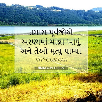Picture 07 - યોહાન 6:49 GUJIRV - તમારા પૂર્વજોએ - Bible Verse Picture