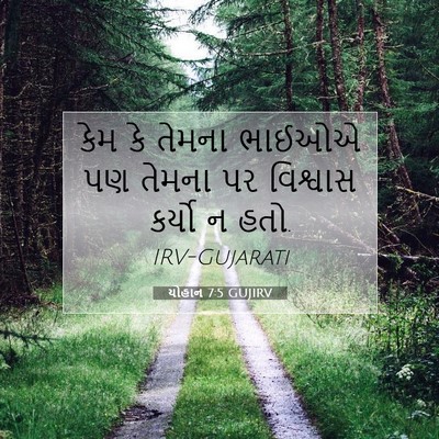 Picture 07 - યોહાન 7:5 GUJIRV - કેમ કે તેમના ભાઈઓએ - Bible Verse Picture