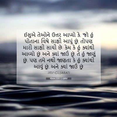 Picture 07 - યોહાન 8:14 GUJIRV - ઈસુએ તેઓને ઉત્તર - Bible Verse Picture