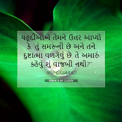 Picture 07 - યોહાન 8:48 GUJIRV - યહૂદીઓએ તેમને - Bible Verse Picture