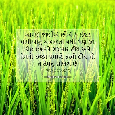 Picture 07 - યોહાન 9:31 GUJIRV - આપણે જાણીએ છીએ કે, - Bible Verse Picture