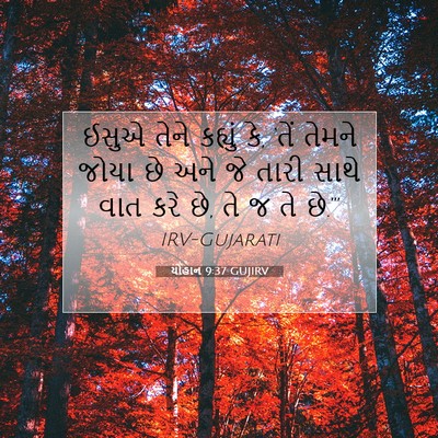 Picture 07 - યોહાન 9:37 GUJIRV - ઈસુએ તેને કહ્યું - Bible Verse Picture