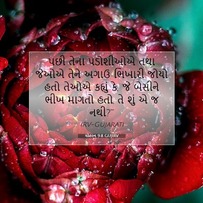 Picture 07 - યોહાન 9:8 GUJIRV - પછી તેના પડોશીઓએ - Bible Verse Picture