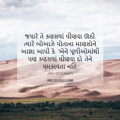 Picture 07 - રૂથ 2:15 GUJIRV - જયારે તે કણસલાં - Bible Verse Picture