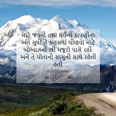 Picture 07 - રૂથ 2:23 GUJIRV - માટે જવની તથા - Bible Verse Picture