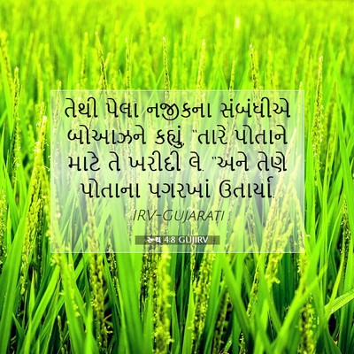 Picture 07 - રૂથ 4:8 GUJIRV - તેથી પેલા નજીકના - Bible Verse Picture