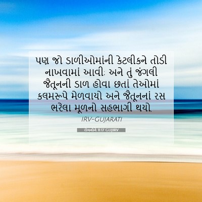 Picture 07 - રોમનોને 11:17 GUJIRV - પણ જો ડાળીઓમાંની - Bible Verse Picture
