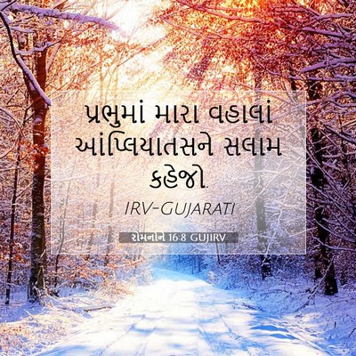 Picture 07 - રોમનોને 16:8 GUJIRV - પ્રભુમાં મારા - Bible Verse Picture