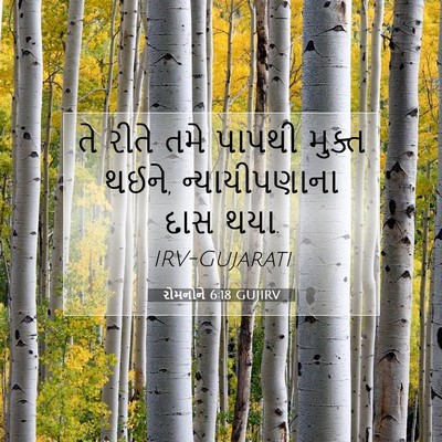 Picture 07 - રોમનોને 6:18 GUJIRV - તે રીતે તમે પાપથી - Bible Verse Picture