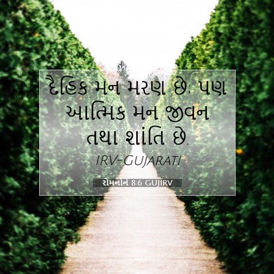 Picture 07 - રોમનોને 8:6 GUJIRV - દૈહિક મન મરણ છે; પણ - Bible Verse Picture