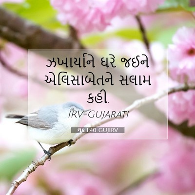 Picture 07 - લૂક 1:40 GUJIRV - ઝખાર્યાને ઘરે - Bible Verse Picture