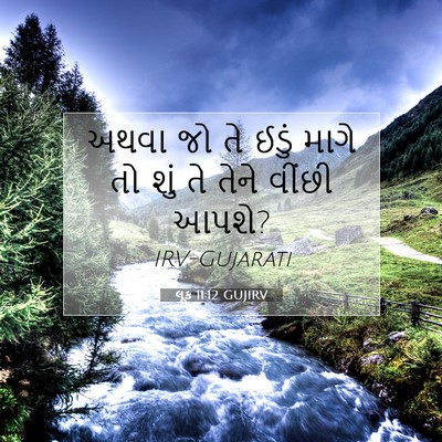 Picture 07 - લૂક 11:12 GUJIRV - અથવા જો તે ઈડું - Bible Verse Picture