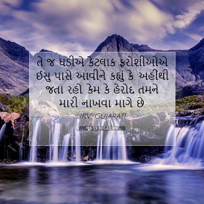Picture 07 - લૂક 13:31 GUJIRV - તે જ ઘડીએ કેટલાક - Bible Verse Picture