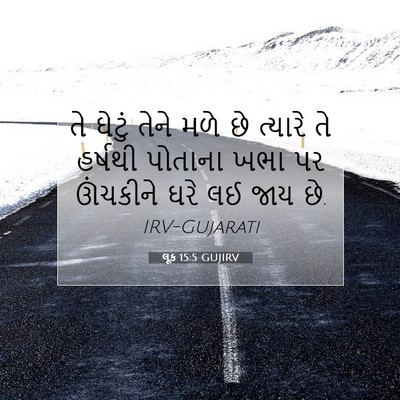 Picture 07 - લૂક 15:5 GUJIRV - તે ઘેટું તેને મળે - Bible Verse Picture