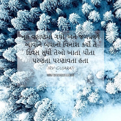 Picture 07 - લૂક 17:27 GUJIRV - નૂહ વહાણમાં ગયો, - Bible Verse Picture