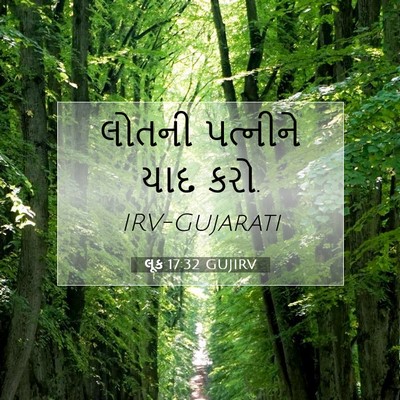 Picture 07 - લૂક 17:32 GUJIRV - લોતની પત્નીને યાદ - Bible Verse Picture