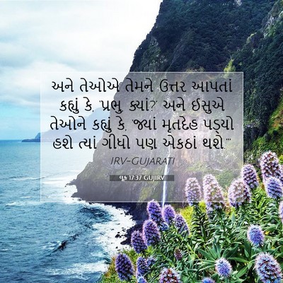 Picture 07 - લૂક 17:37 GUJIRV - અને તેઓએ તેમને - Bible Verse Picture