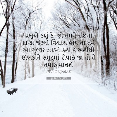 Picture 07 - લૂક 17:6 GUJIRV - પ્રભુએ કહ્યું કે, - Bible Verse Picture